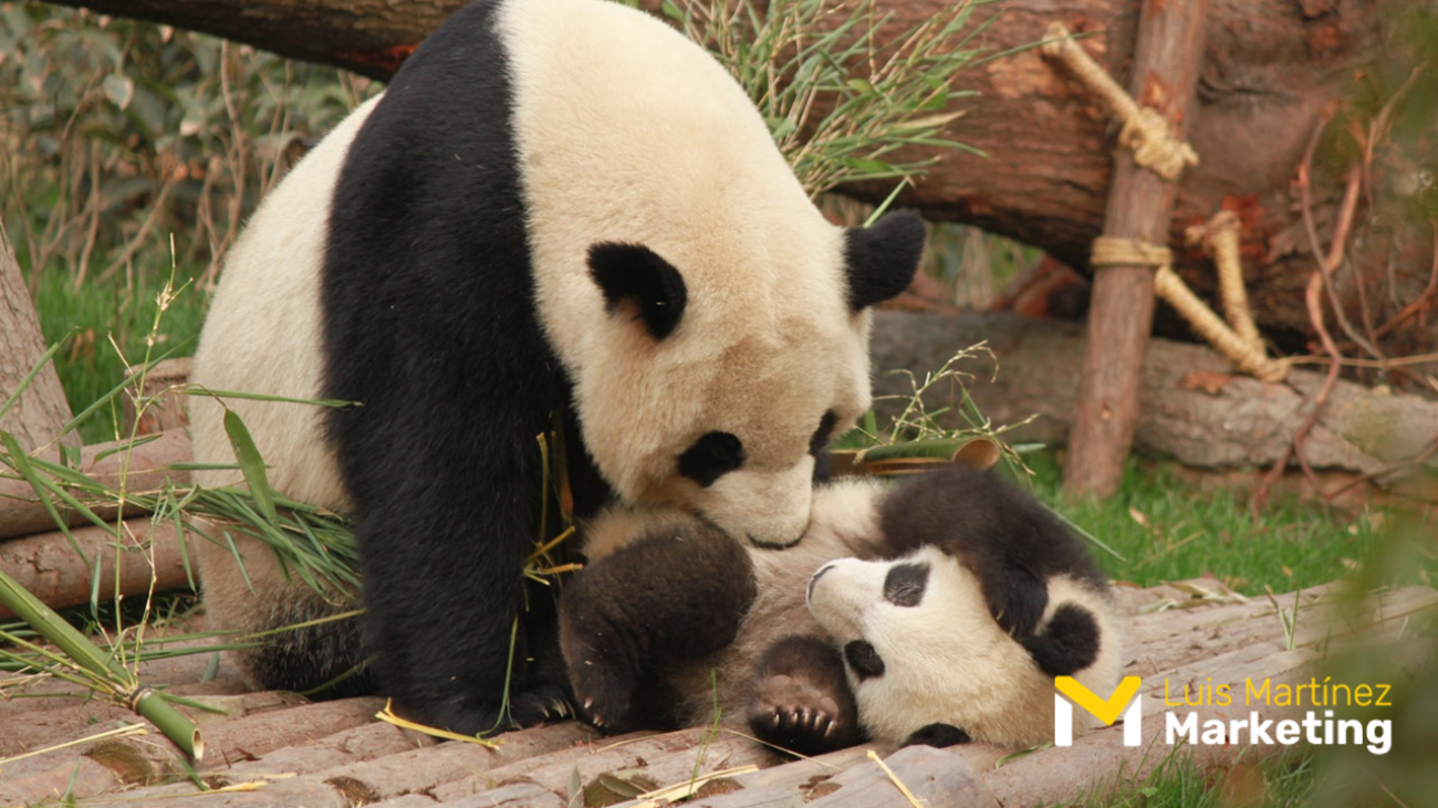 Estrategias de Marketing y Comunicacion animales